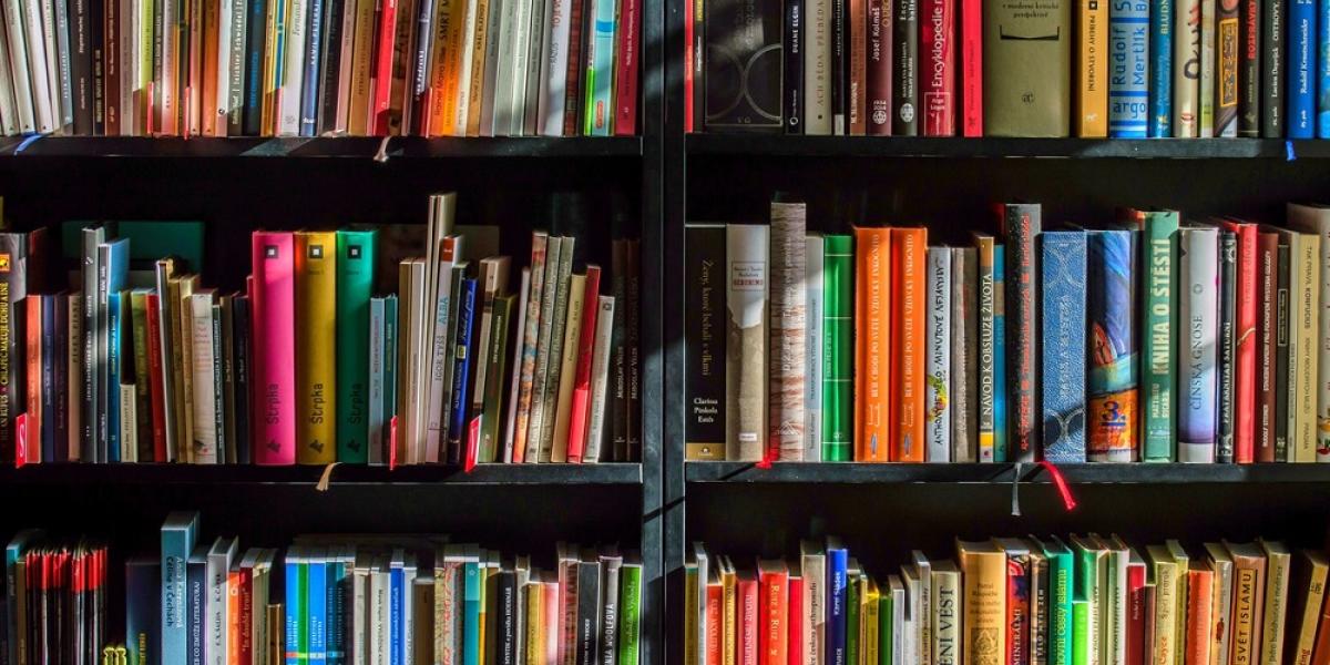 Image of a bookshelf.