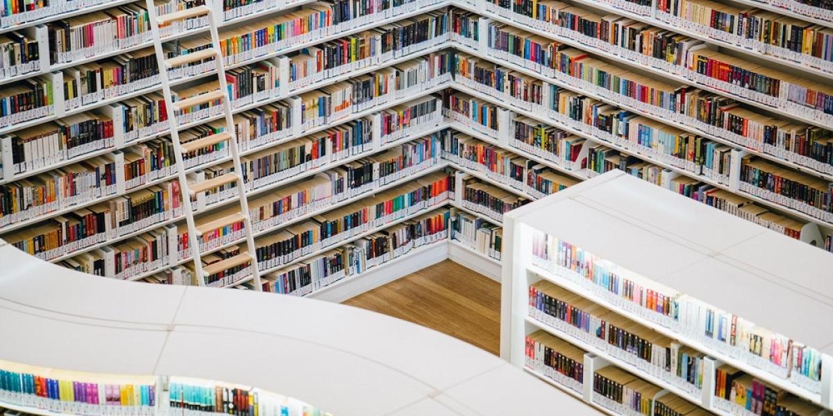 Photo of bookcases.