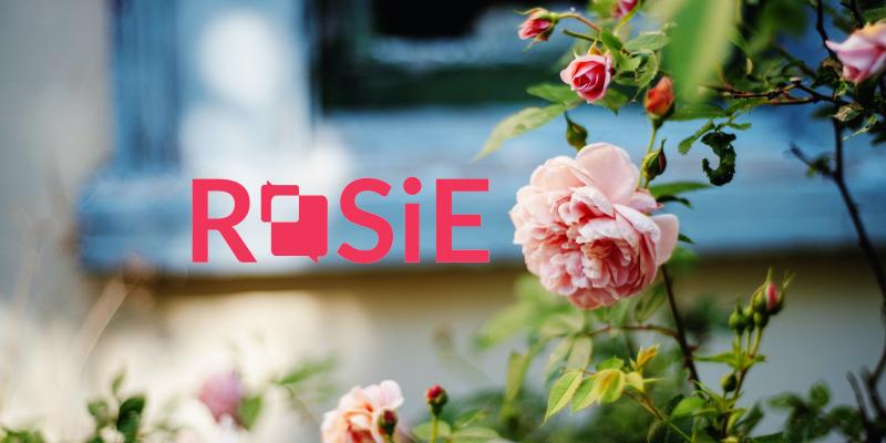 ROSiE-logo with a rose on the background.