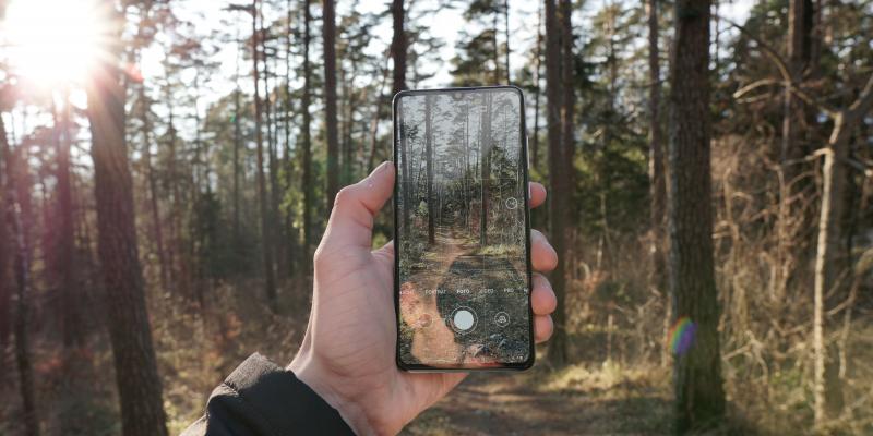 Kädessä matkapuhelin, jonka näytöllä kuva taustan metsästä.